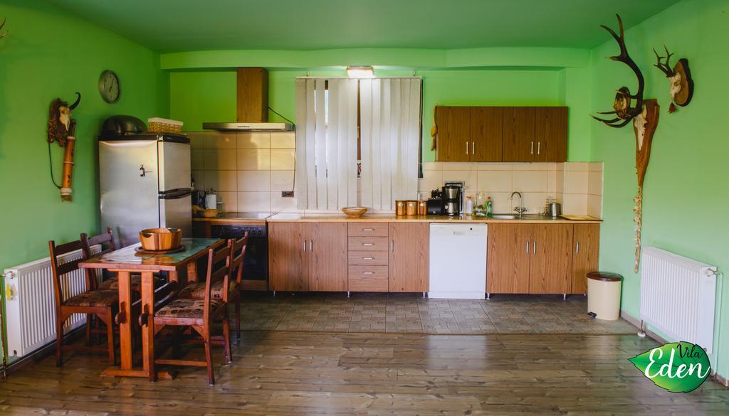 Vila Eden Porumbacu de Sus Εξωτερικό φωτογραφία
